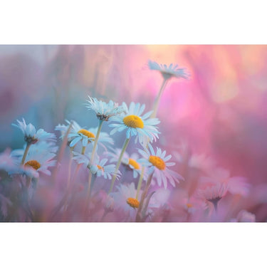 Flowers on Painting Wall Art